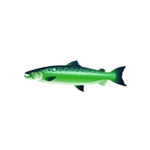 Bold Green Salmon